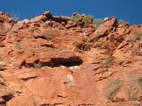 Thye're obviously permanent residents